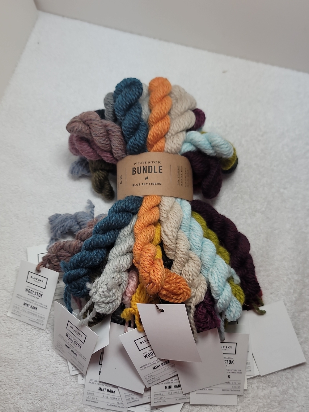 Blue Sky Fibers Woolstok Bundle 27 Mini Hanks - Multicolor NWT